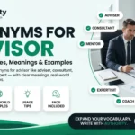 Synonyms for Advisor