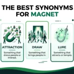 synonyms for magnet