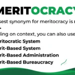Synonyms for Meritocracy