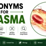Synonyms for Plasma