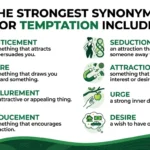 synonyms for temptation