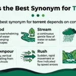 synonyms for torrent