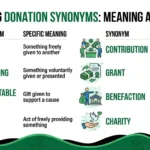 Donation Synonyms by Meaning and Intent