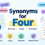 Synonyms for Four