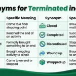Synonyms for Terminated