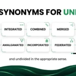 Synonym for Unified: 15+ Words, Meanings, and Examples
