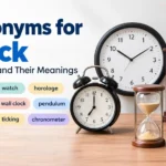 synonyms for clock